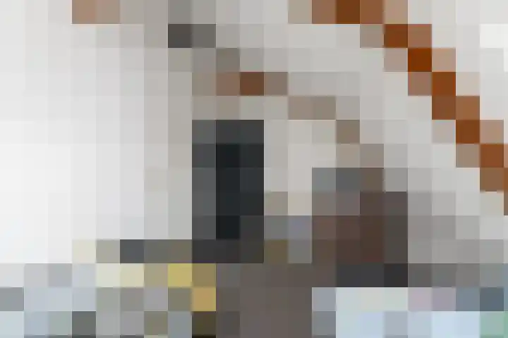 Scheen 77 Joure thumbnail 36