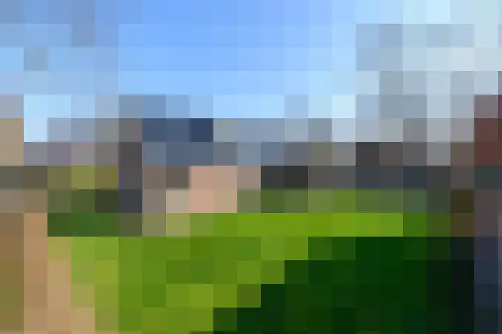Scheen 77 Joure thumbnail 4