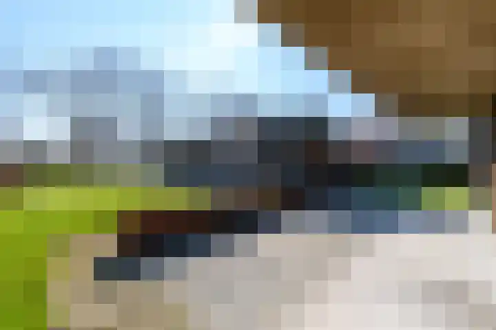 Scheen 77 Joure thumbnail 45