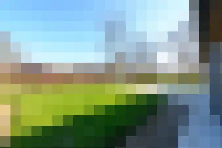 Scheen 77 Joure thumbnail 48