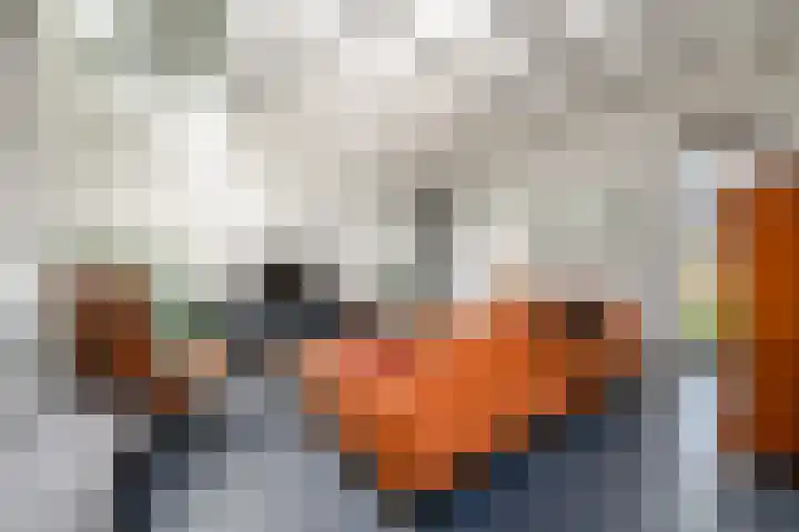 Scheen 77 Joure thumbnail 5