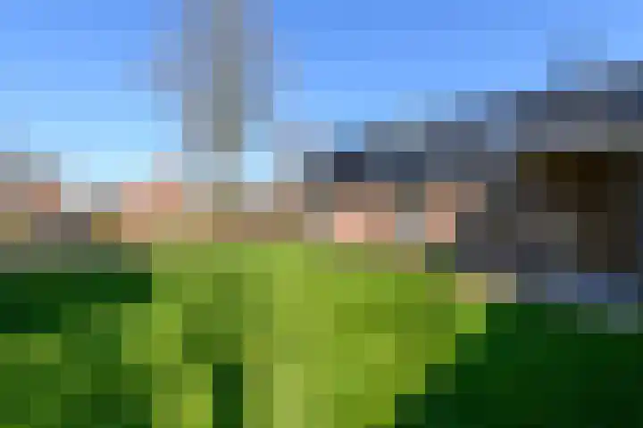 Scheen 77 Joure thumbnail 50