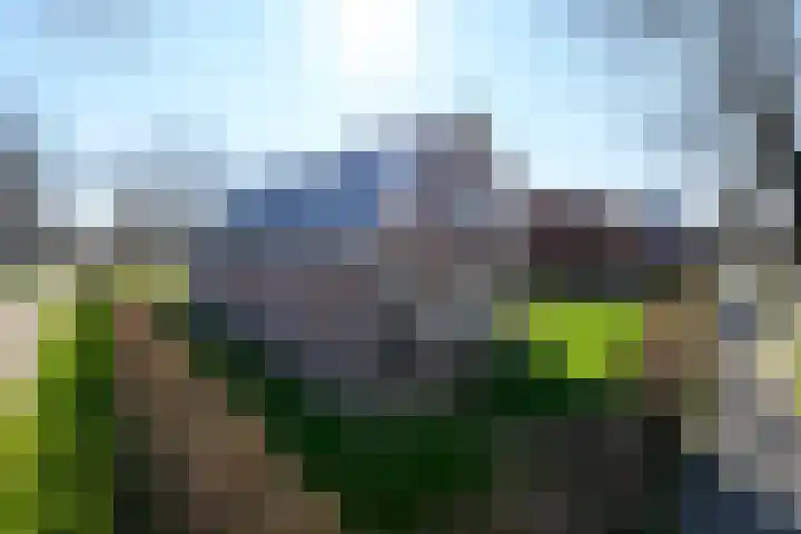 Scheen 77 Joure thumbnail 52