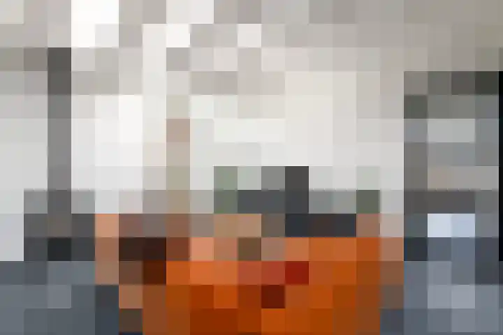 Scheen 77 Joure thumbnail 6