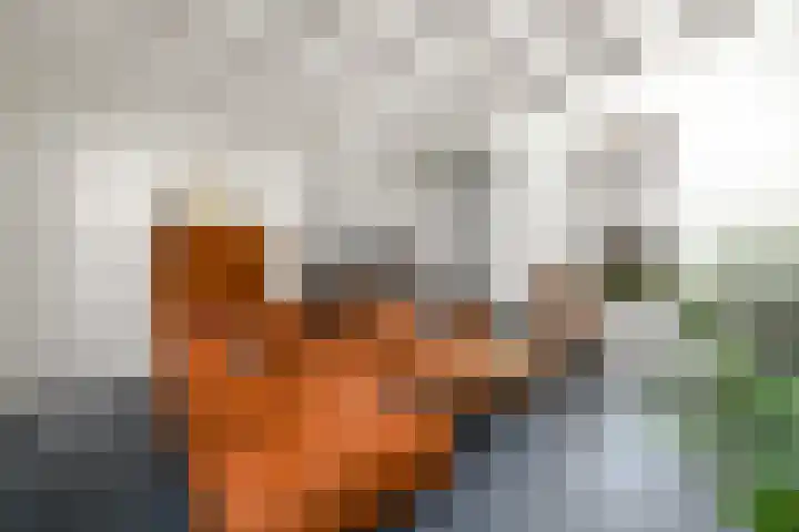 Scheen 77 Joure thumbnail 7