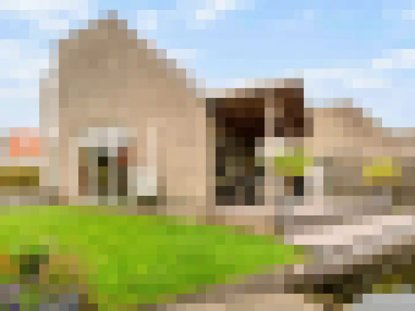 Scheendijk 17 6 Breukelen thumbnail 31