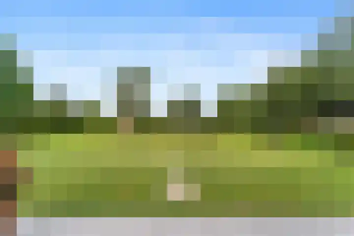 Scheendijk 19 1 Breukelen thumbnail 32