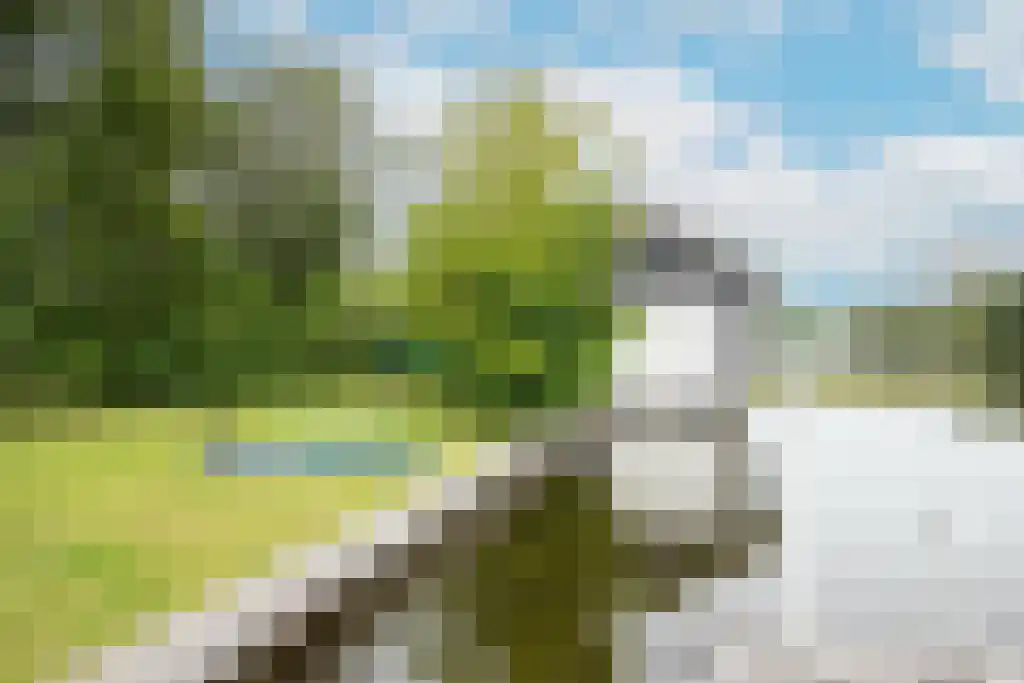Scheendijk 19 6 Breukelen thumbnail 5