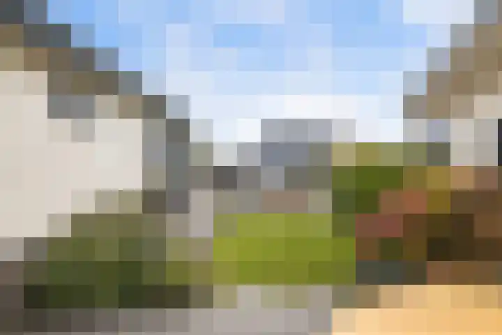 Scheendijk 22 21 Breukelen thumbnail 4