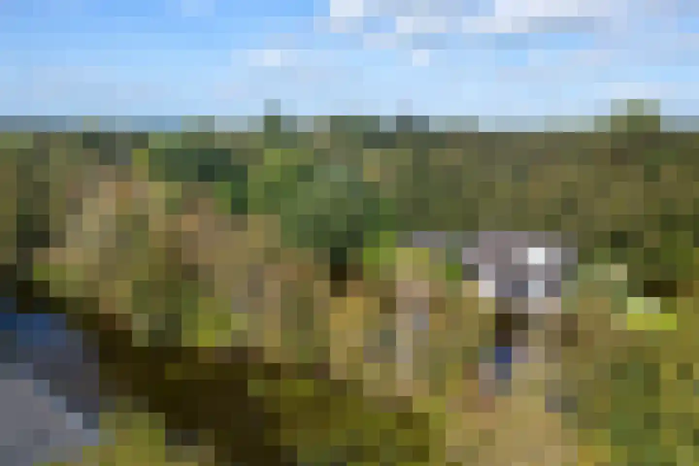 Scheendijk 42 Breukelen thumbnail 11