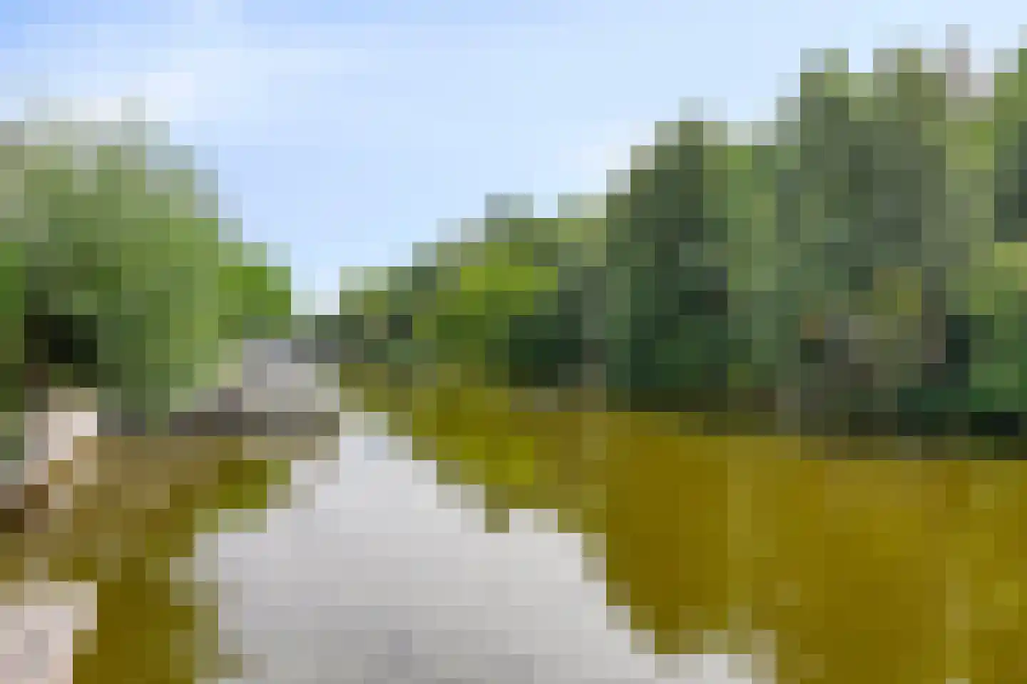 Scheendijk 5 5 Breukelen thumbnail 32