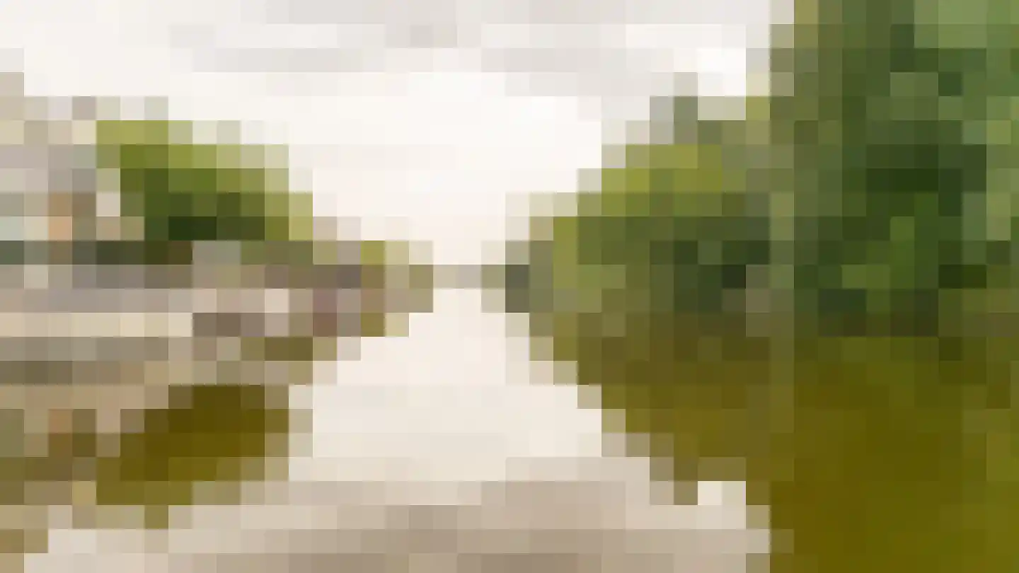 Scheendijk 5 5 Breukelen thumbnail 33