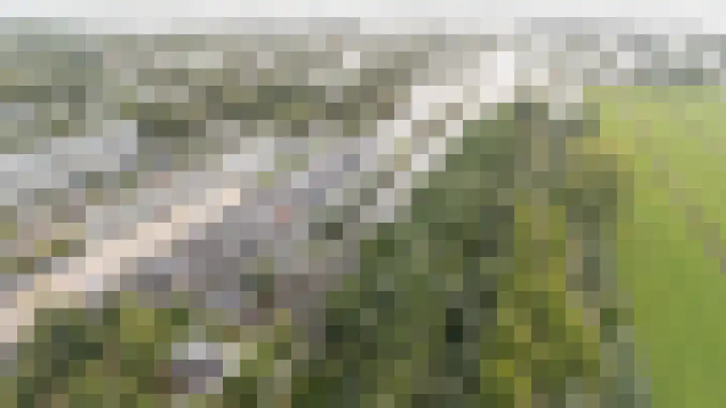 Scheendijk 5 5 Breukelen thumbnail 35