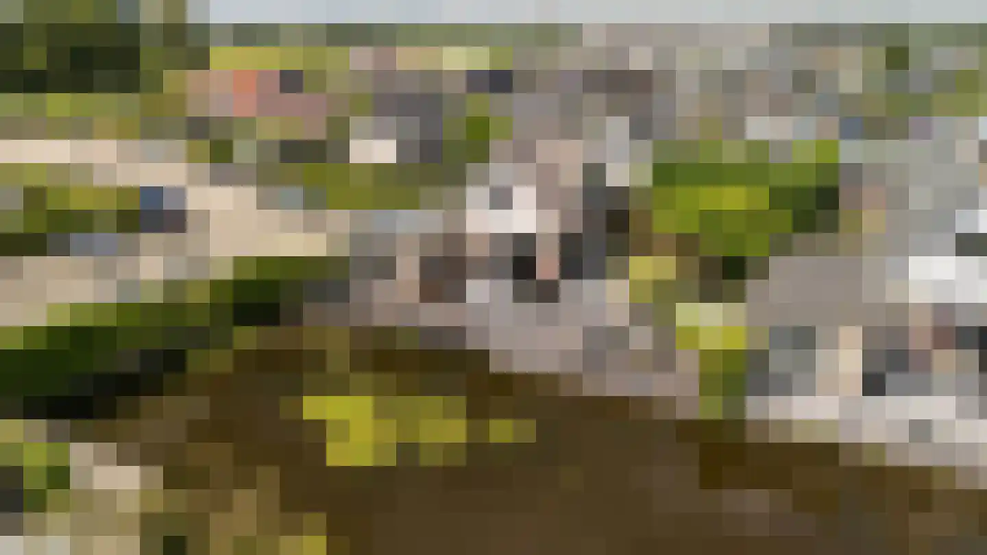 Scheendijk 8 12 Breukelen thumbnail 47