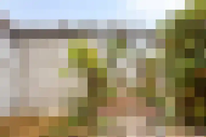 Scheendijk 8 16 en Breukelen