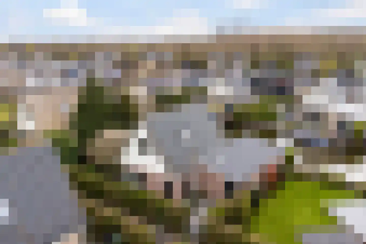 Scheendijk 8 16 Breukelen thumbnail 4