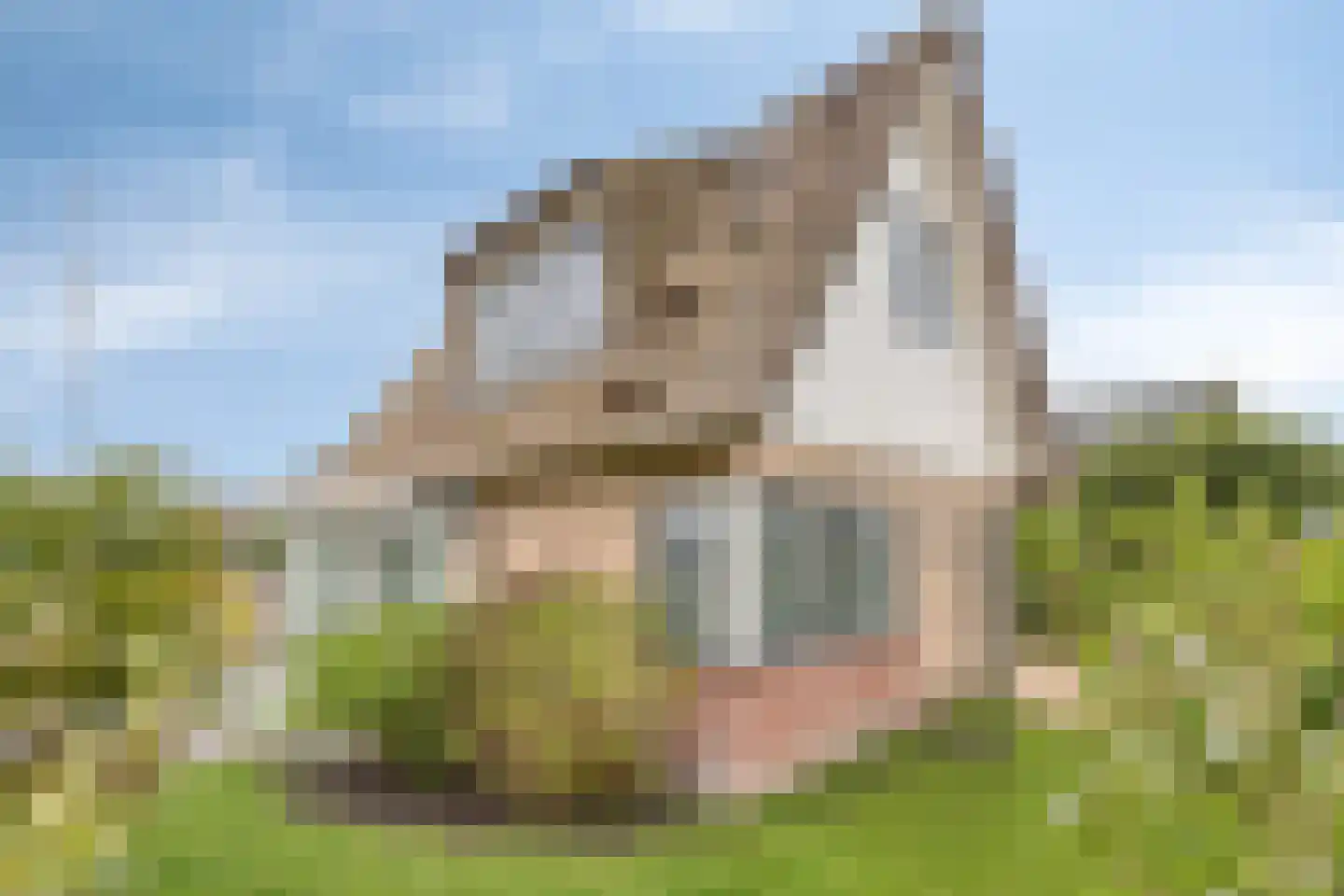 Scheendijk 8 18 Breukelen thumbnail 8