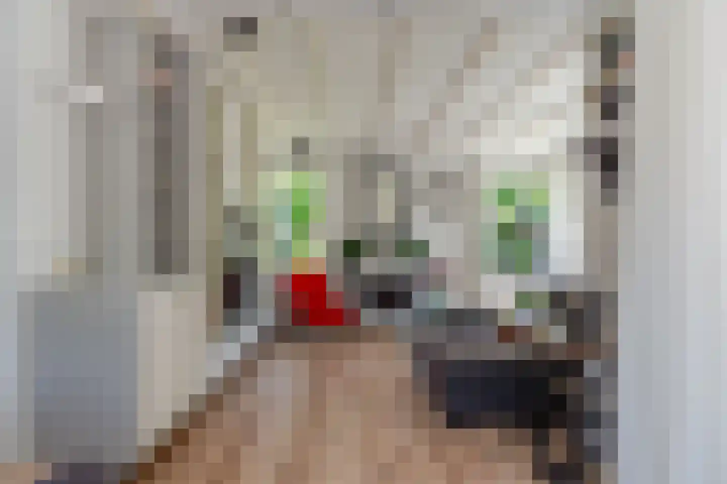 Scheeneweg 15 Nijeholtwolde thumbnail 22