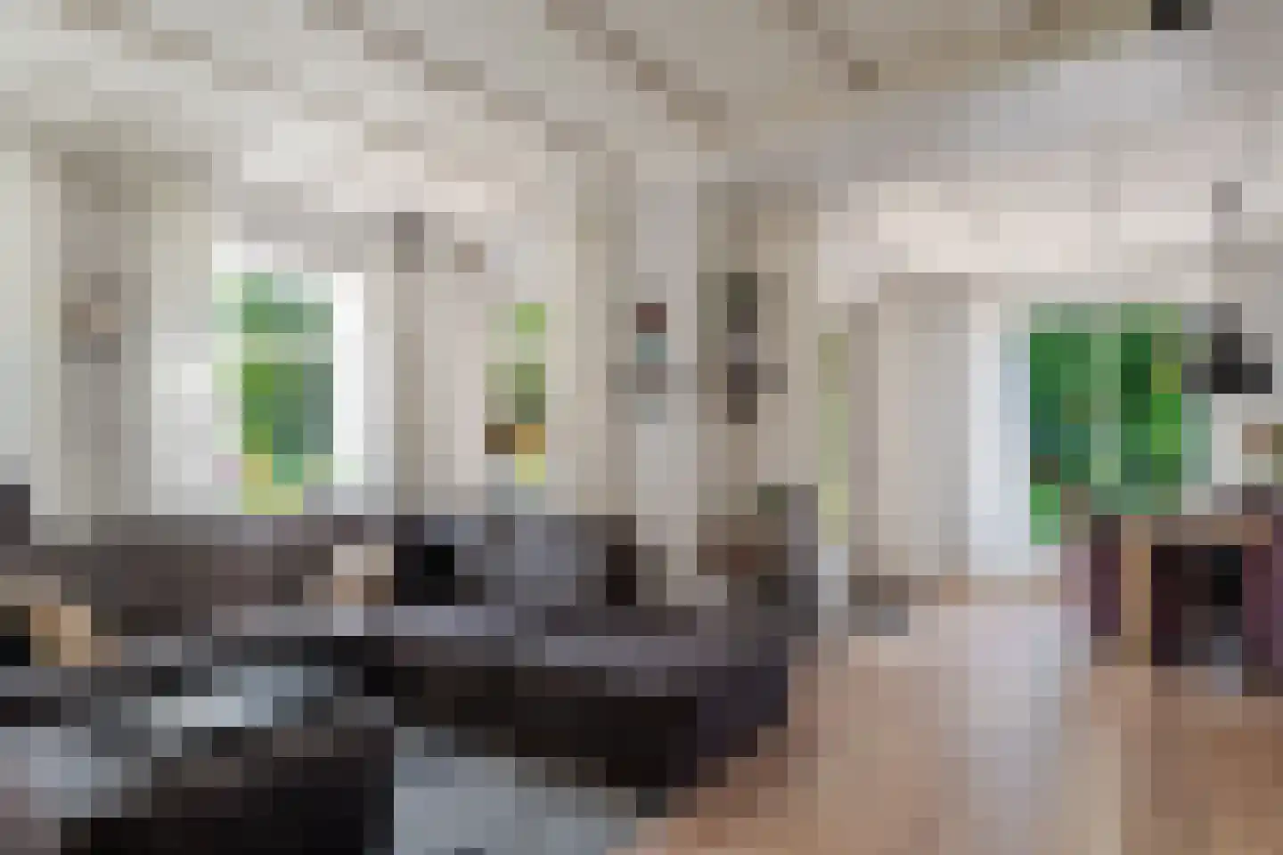 Scheeneweg 15 Nijeholtwolde thumbnail 23
