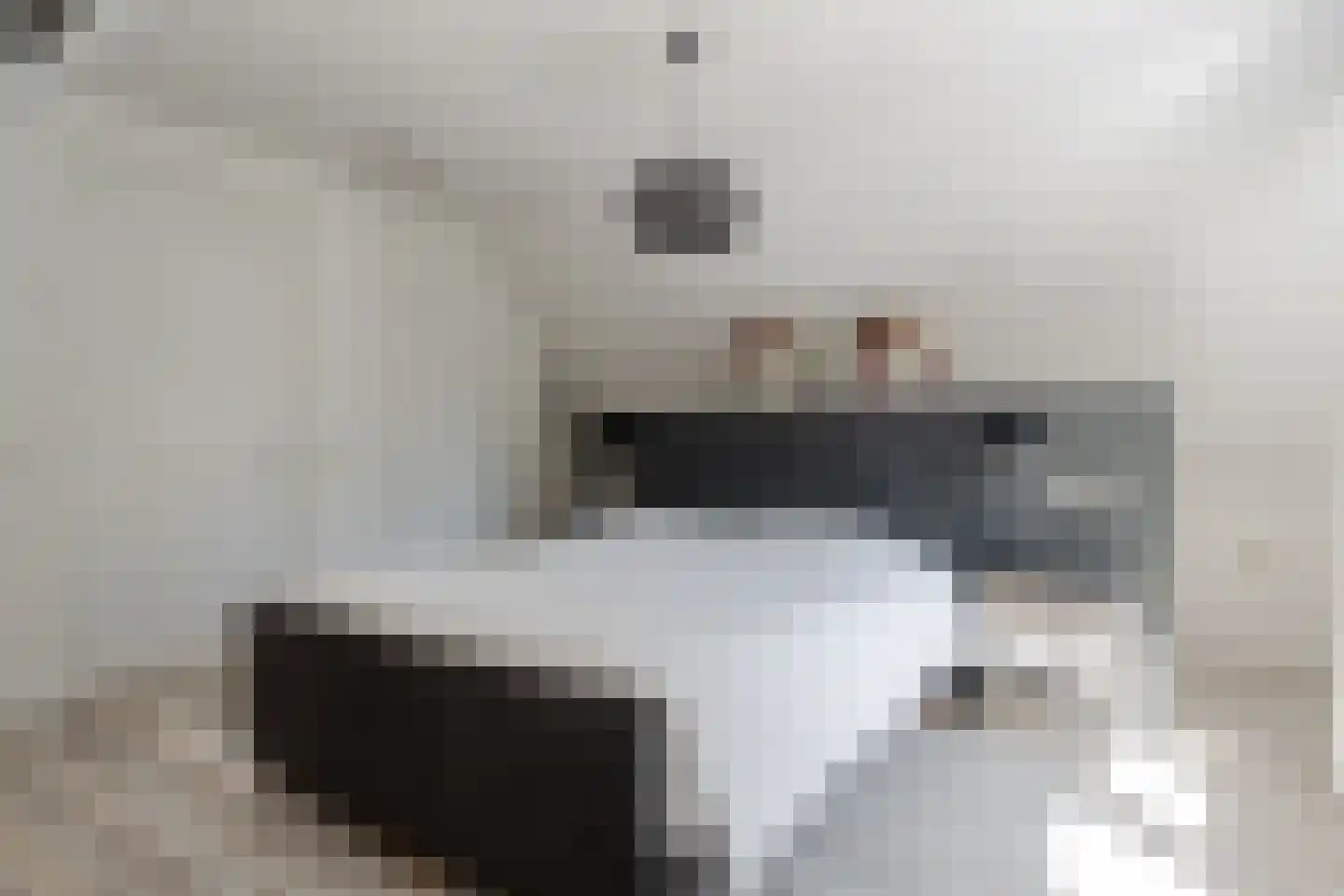 Scheeneweg 15 Nijeholtwolde thumbnail 40