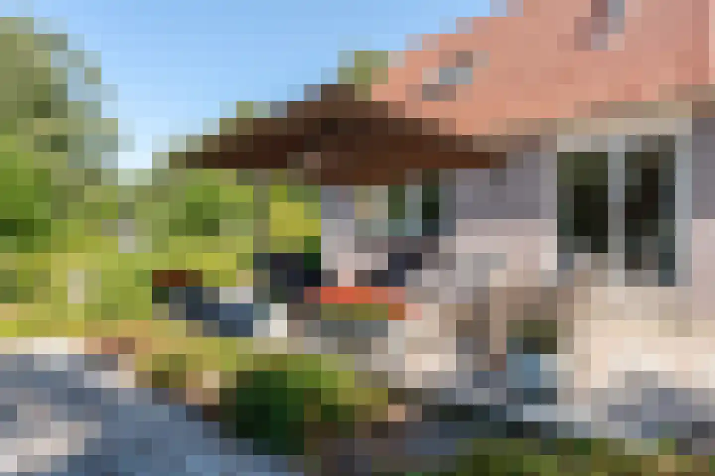 Scheeneweg 15 Nijeholtwolde thumbnail 47