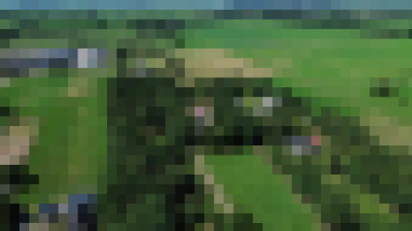 Scheeneweg 15 Nijeholtwolde thumbnail 5