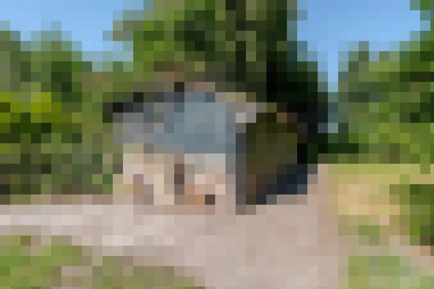Scheeneweg 15 Nijeholtwolde thumbnail 52