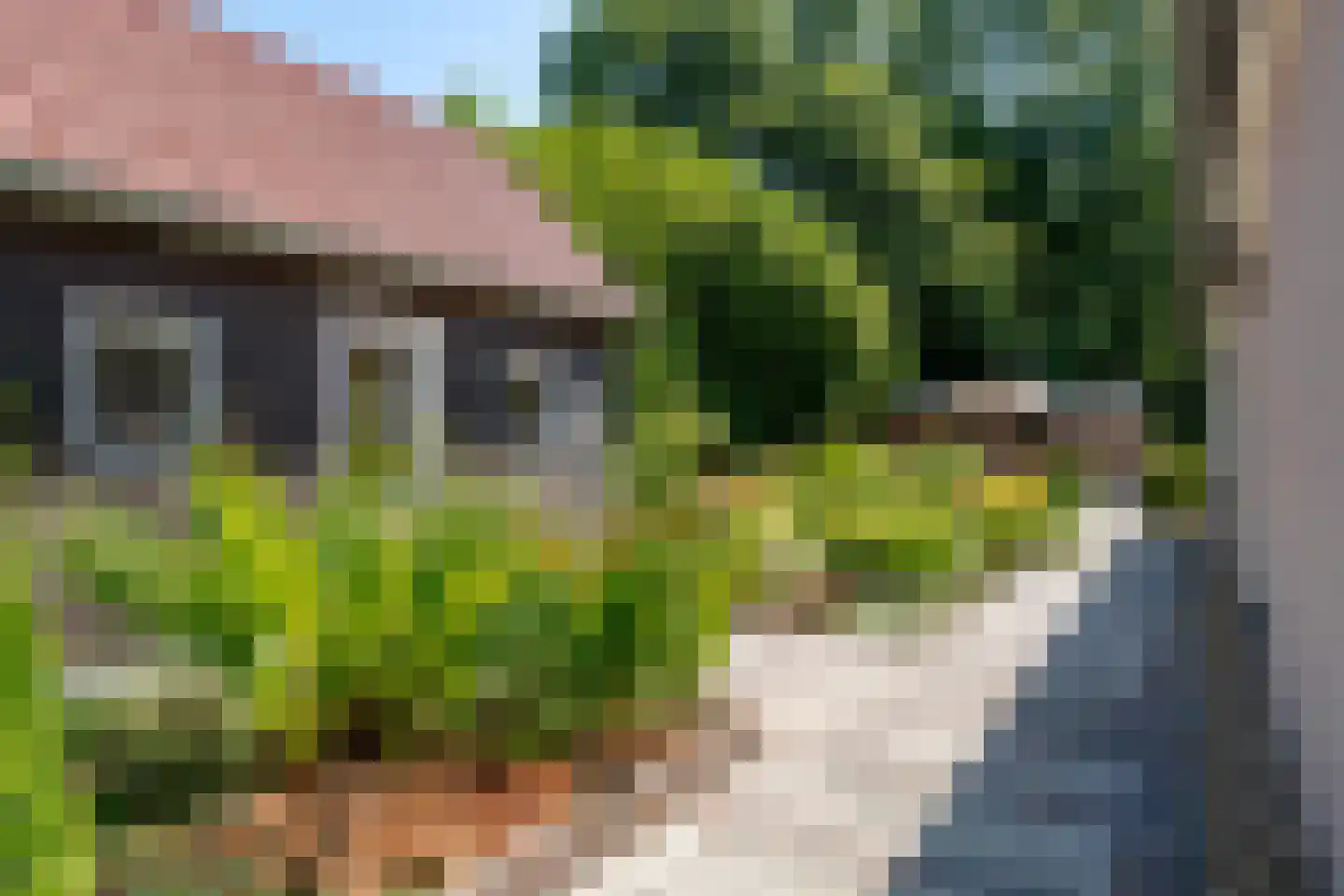 Scheeneweg 15 Nijeholtwolde thumbnail 58