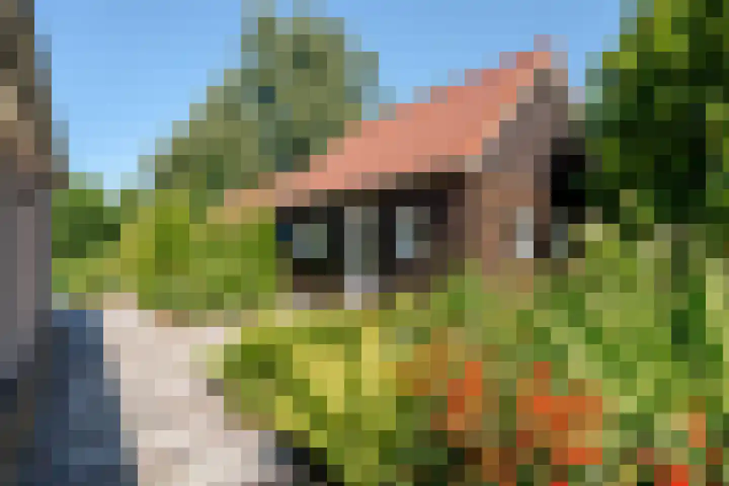 Scheeneweg 15 Nijeholtwolde thumbnail 59