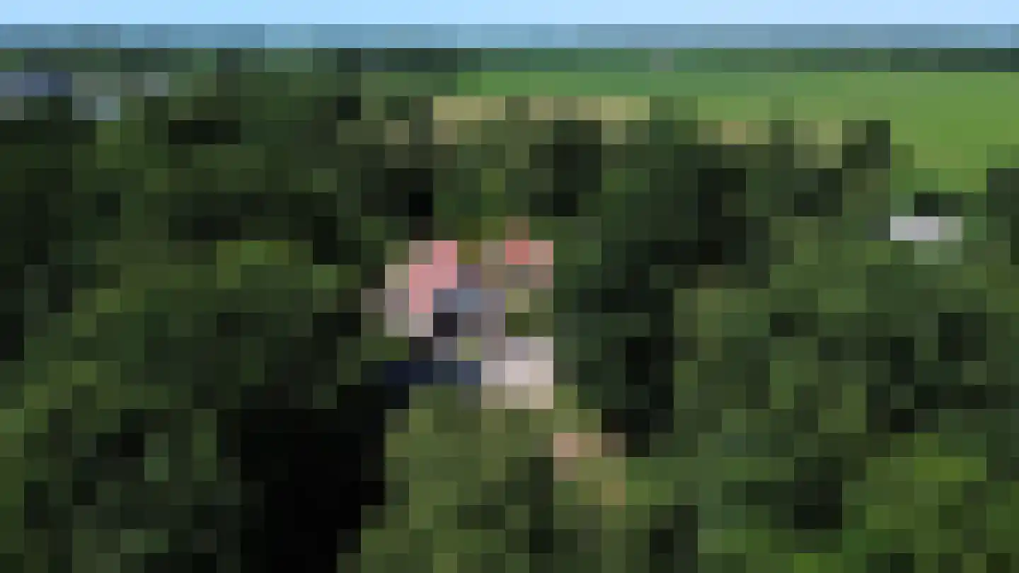 Scheeneweg 15 Nijeholtwolde thumbnail 6