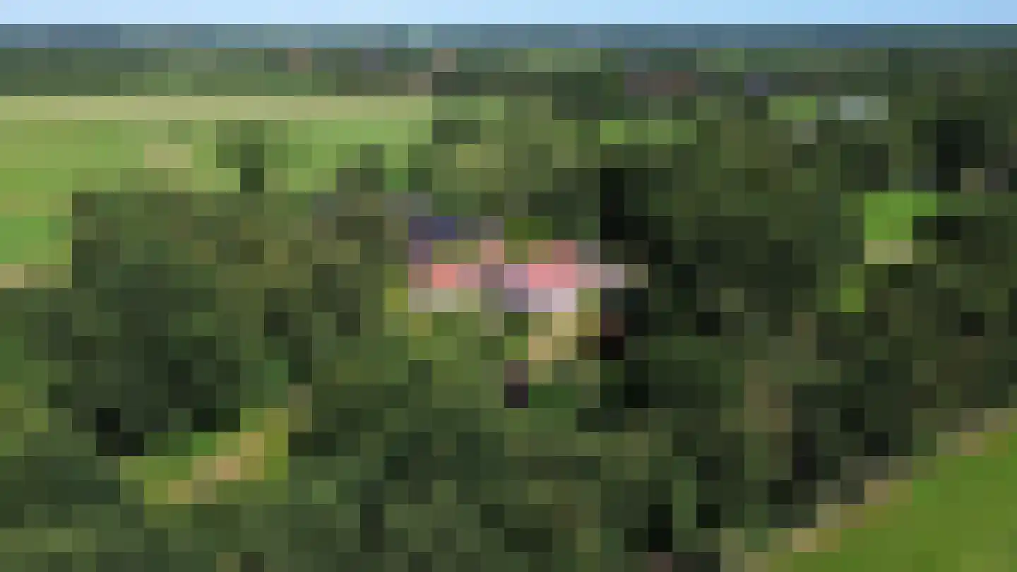 Scheeneweg 15 Nijeholtwolde thumbnail 63