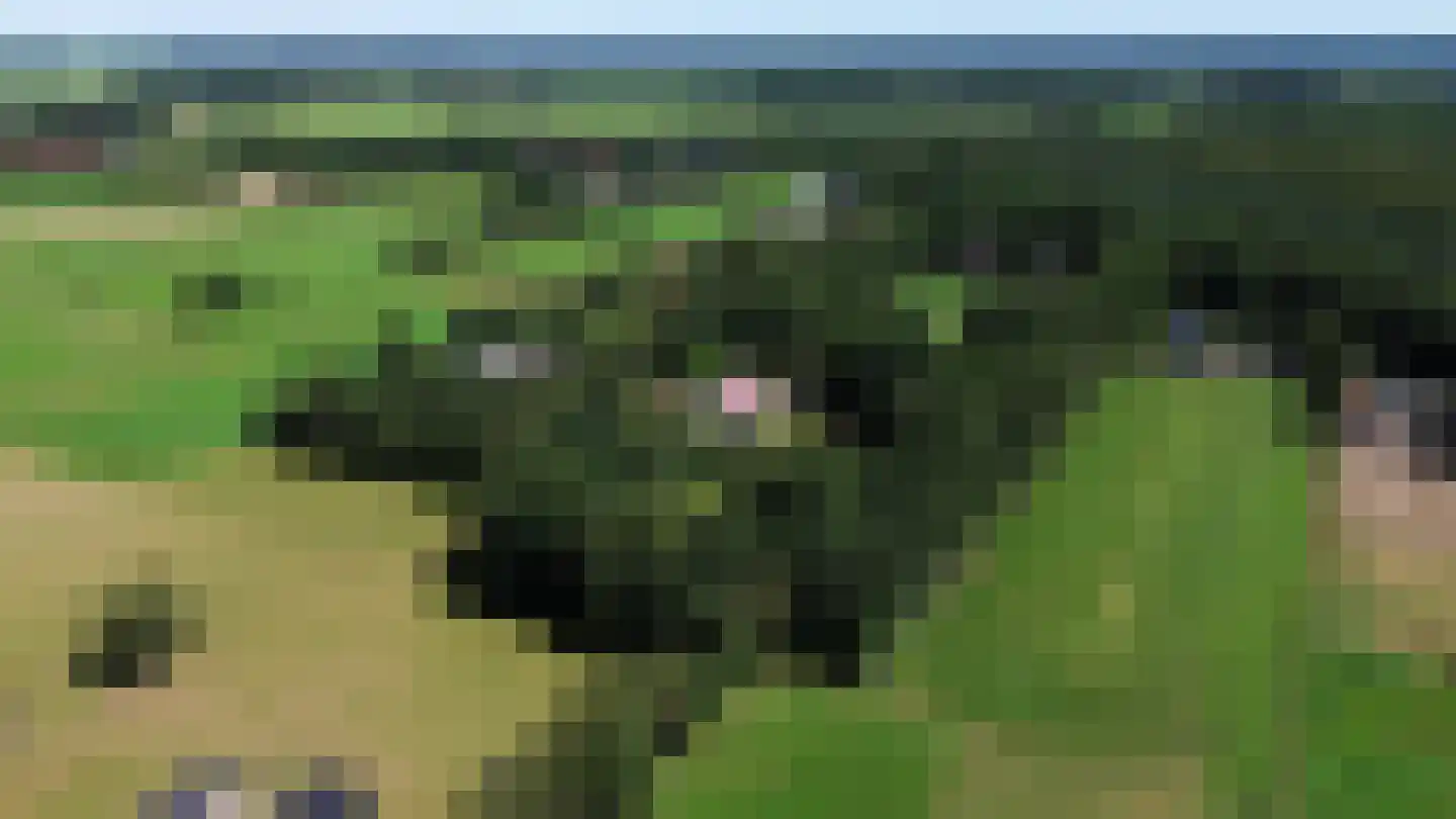 Scheeneweg 15 Nijeholtwolde thumbnail 64
