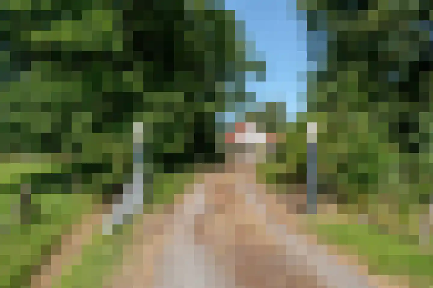 Scheeneweg 15 Nijeholtwolde thumbnail 8