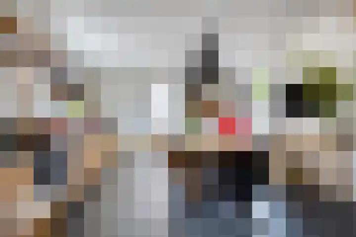Scheepersdijk 93 Oisterwijk thumbnail 13