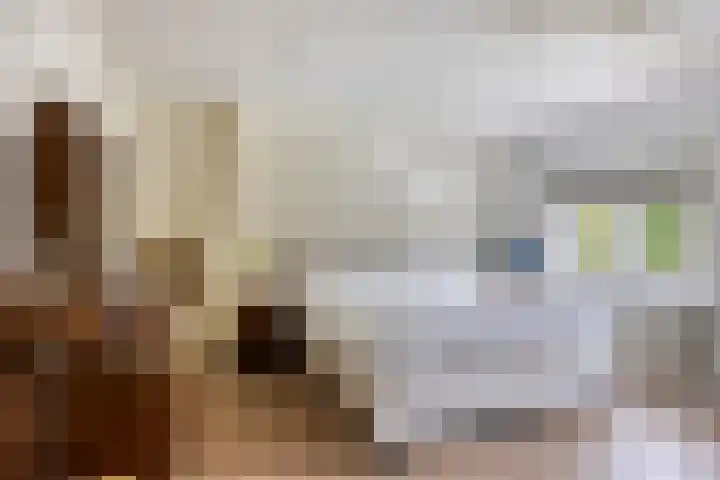 Scheepersdijk 93 Oisterwijk thumbnail 22