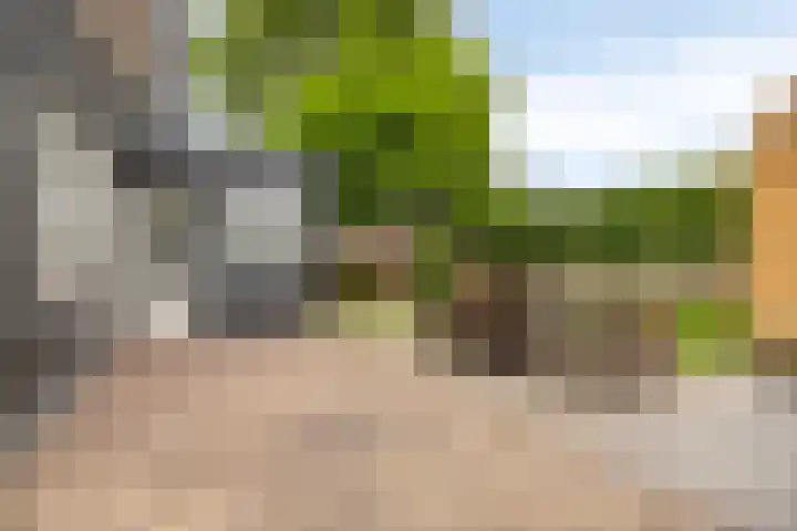 Scheepersdijk 93 Oisterwijk thumbnail 33