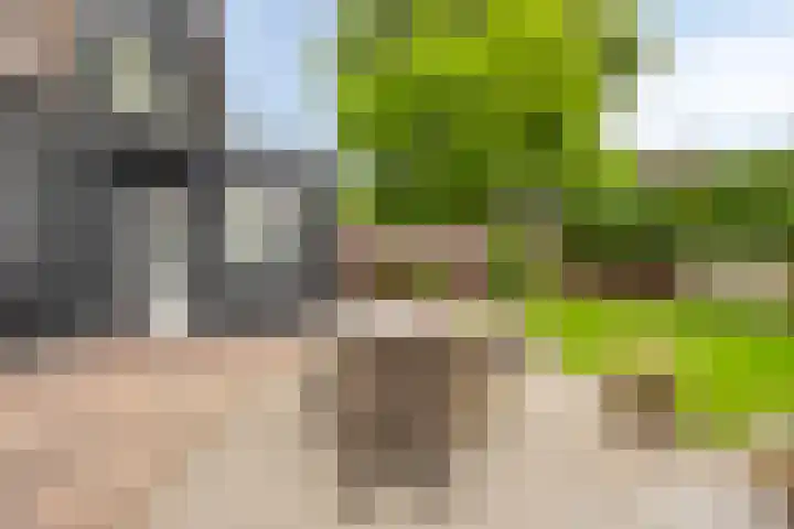 Scheepersdijk 93 Oisterwijk thumbnail 34