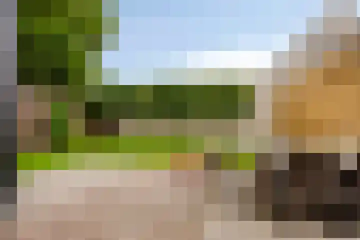 Scheepersdijk 93 Oisterwijk thumbnail 35