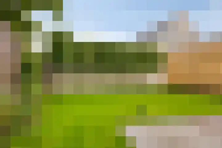 Scheepersdijk 93 Oisterwijk thumbnail 36