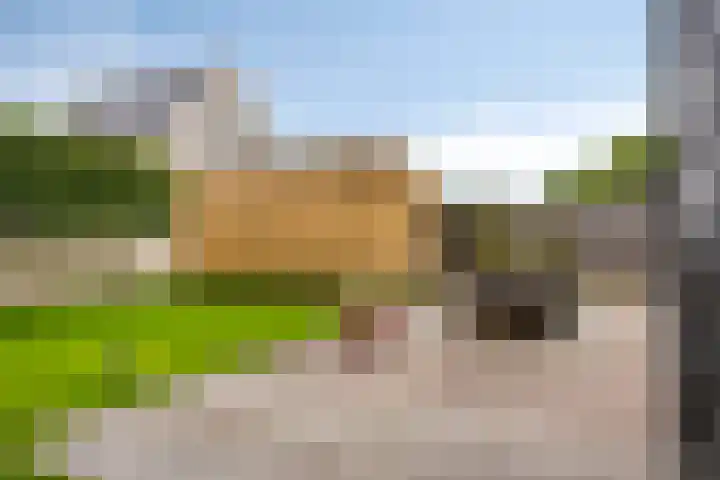 Scheepersdijk 93 Oisterwijk thumbnail 37