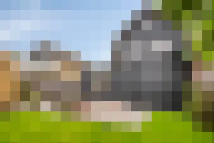 Scheepersdijk 93 Oisterwijk thumbnail 38