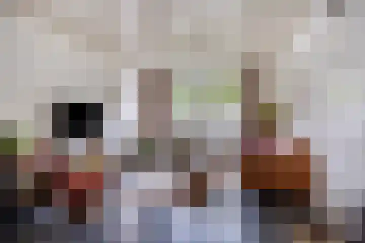 Scheepersdijk 93 Oisterwijk thumbnail 4