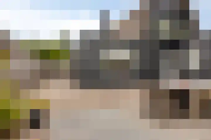 Scheepersdijk 93 Oisterwijk thumbnail 40