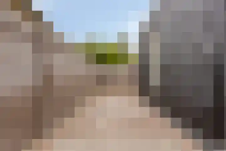 Scheepersdijk 93 Oisterwijk thumbnail 41