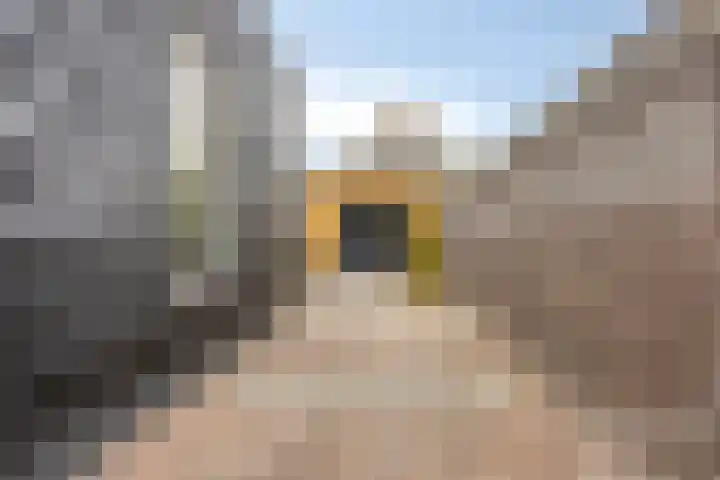 Scheepersdijk 93 Oisterwijk thumbnail 43