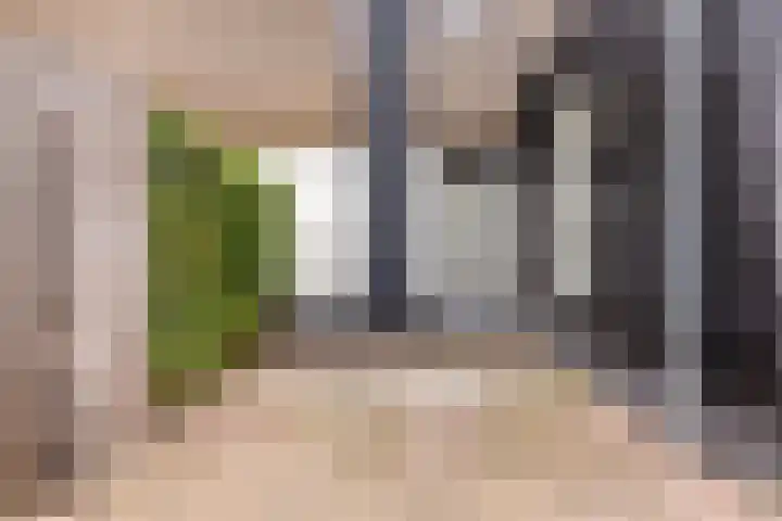 Scheepersdijk 93 Oisterwijk thumbnail 44