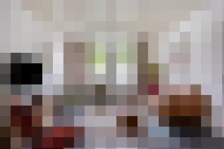 Scheepersdijk 93 Oisterwijk thumbnail 6