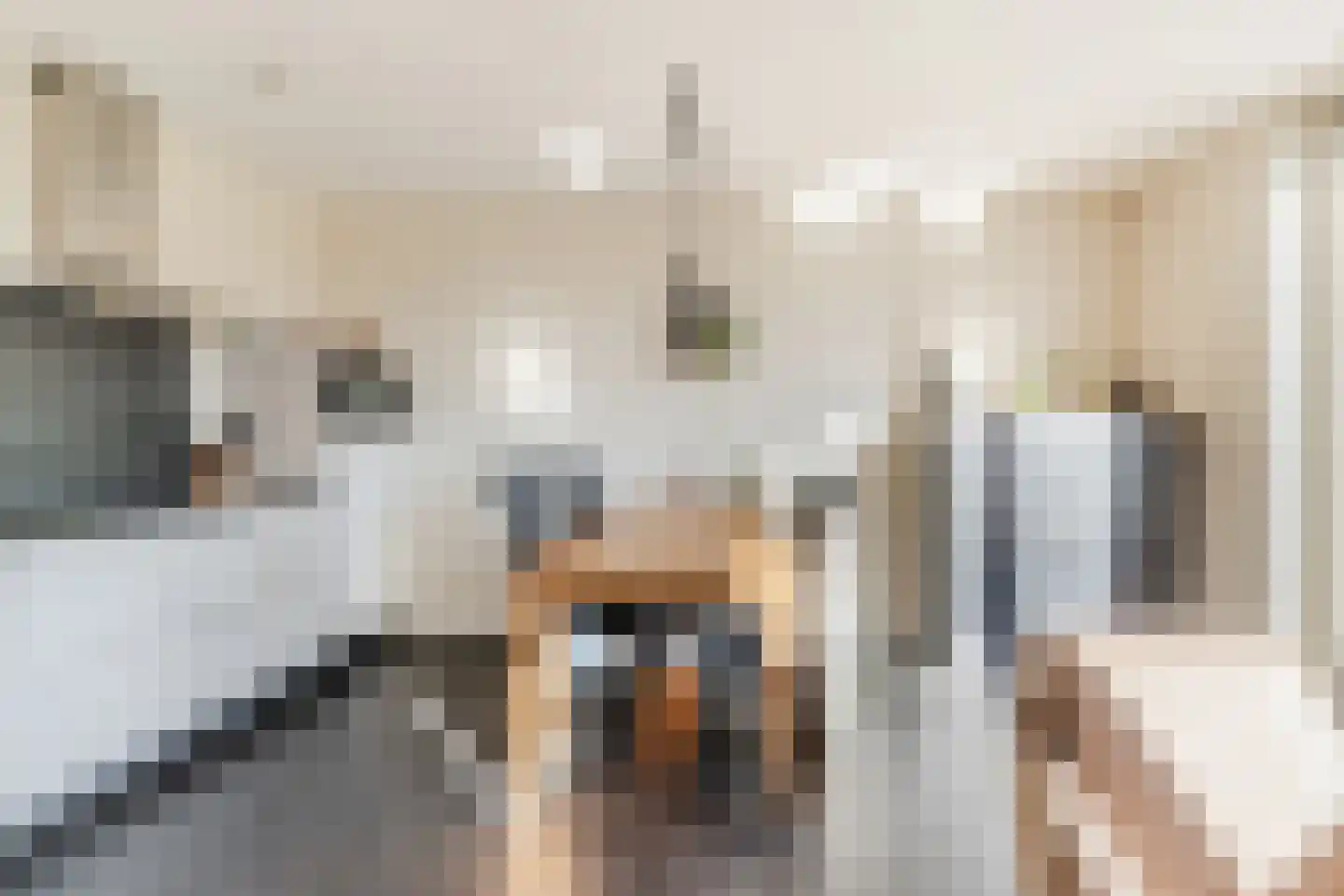 Scheeperskant 7 Reusel thumbnail 10