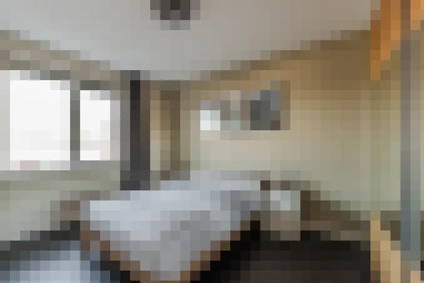 Scheeperskant 7 Reusel thumbnail 15