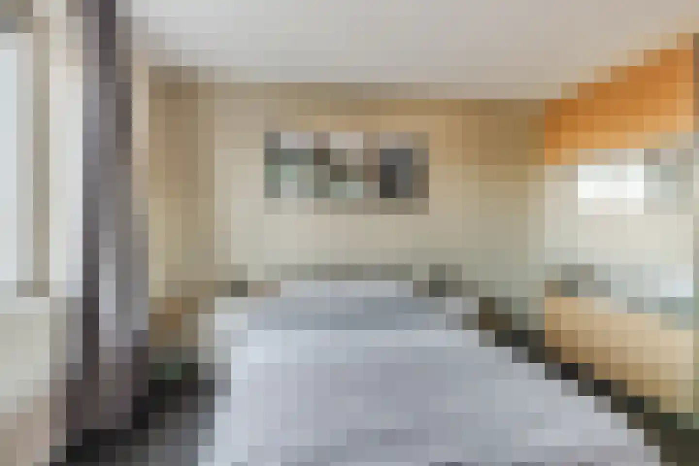 Scheeperskant 7 Reusel thumbnail 16